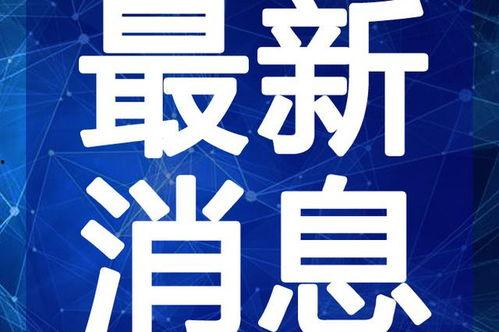 二饼吃瓜最新事件视频,揭秘最新事件背后的真相与争议