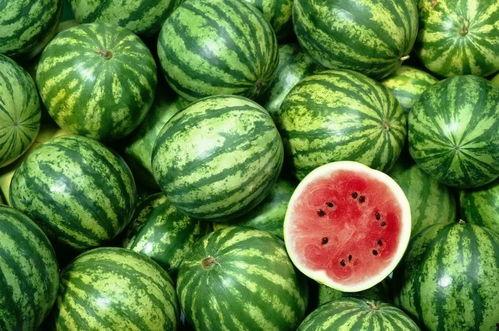 西瓜视频吃咸瓜