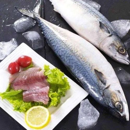 瓜宝鱼怎么吃最好视频,视频教你最佳食用方法