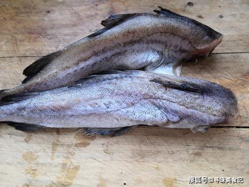 鱼鱼吃瓜前男友视频,一场情感纠葛的视觉重现